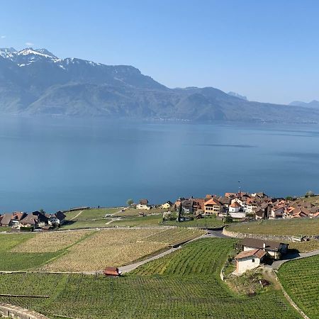 La Gremillette Gourmande Lavaux Appartement Rivaz Buitenkant foto