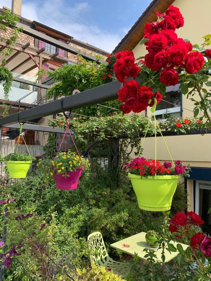 La Gremillette Gourmande Lavaux Appartement Rivaz Buitenkant foto