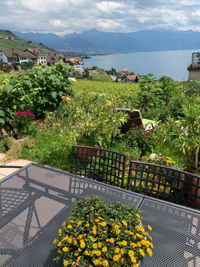 La Gremillette Gourmande Lavaux Appartement Rivaz Buitenkant foto
