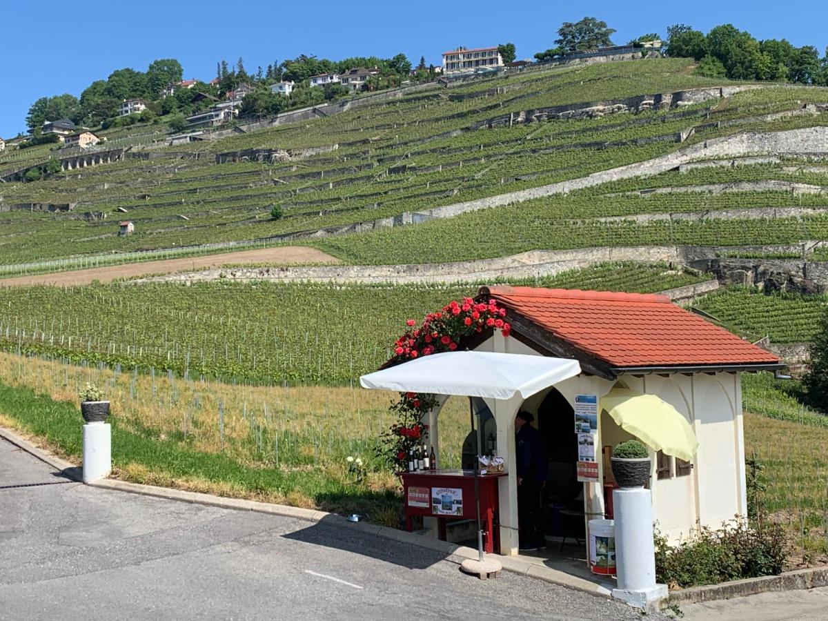 La Gremillette Gourmande Lavaux Appartement Rivaz Buitenkant foto