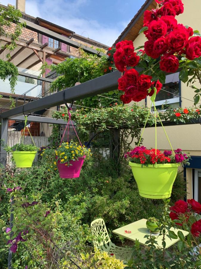 La Gremillette Gourmande Lavaux Appartement Rivaz Buitenkant foto